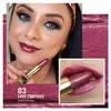 OULAC Lipstick, Metallic Shine Finish, No Grainy Feeling, Long-Lasting Moisturisation,