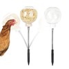 Chicken Feeders, Chicken Feeder Jar with Stake | Refillable Dispenser