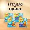 Lipton Southern Sweet Tea Iced Tea Drink Mix 22 Family