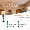 DiCUNO G4 LED Bulb Dimmable, 120V, G4 Bi-Pin Base Light