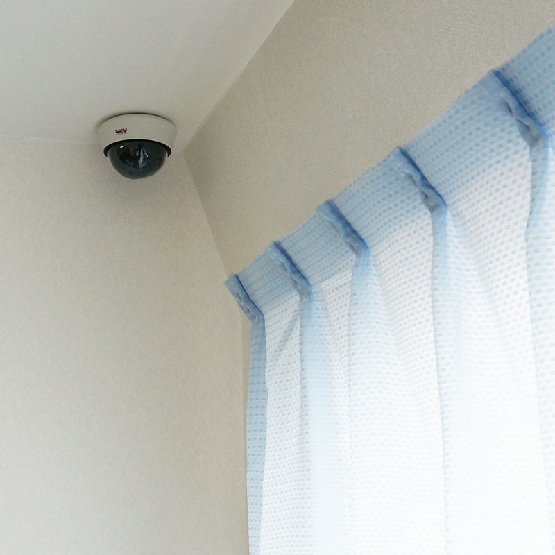 SKY Electronics Security Camera Dummy Camera Dome 1
