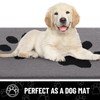 Arotive Indoor Door Mat, 20" x 30" Absorbent Dirt Resist