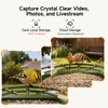 CINMOORE Smart Bird Feeder with Camera - Solar Powered, AI