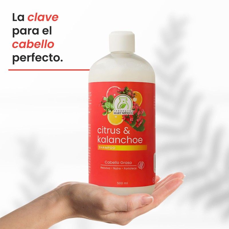 Shampoo Citrus & Kalanchoe Limpieza e Hidratación Productos Mart Mexico