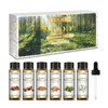 EUQEE 10ml Woody Essential Oils Set - Pure & Nature