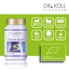 Dr. Koll Darm Active Capsules - Optimal Intestinal Support with