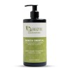 Brizna Esencia Oriental Shampoo con Arroz, Bambú y Jojoba |