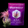 2 Year Supply Best Air Plant Food Tilly Boost To
