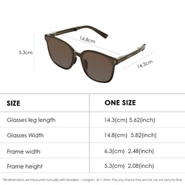 OH! ANY TIME ANY WEAR Unisex Foldable Sunglasses UV400 Protection Ultra Lightweight Outdoor Hiking Fold Sun Glasses Brown