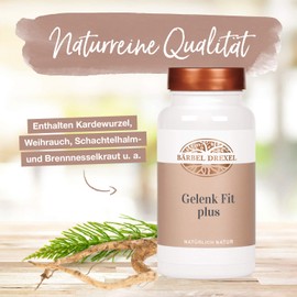 BÄRBEL DREXEL® Joint Fit Pressings, Joint Capsules, High Dose (Pack of 192) Made in Germany, Special Combination of Active Ingredients, Frankincense, Devil's Claw, Karde, Collagen, Hyaluronic Acid,