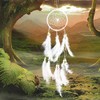 Jrancc Dreamcatcher DIY Handmade Feathers 55cm White for Bedroom Home