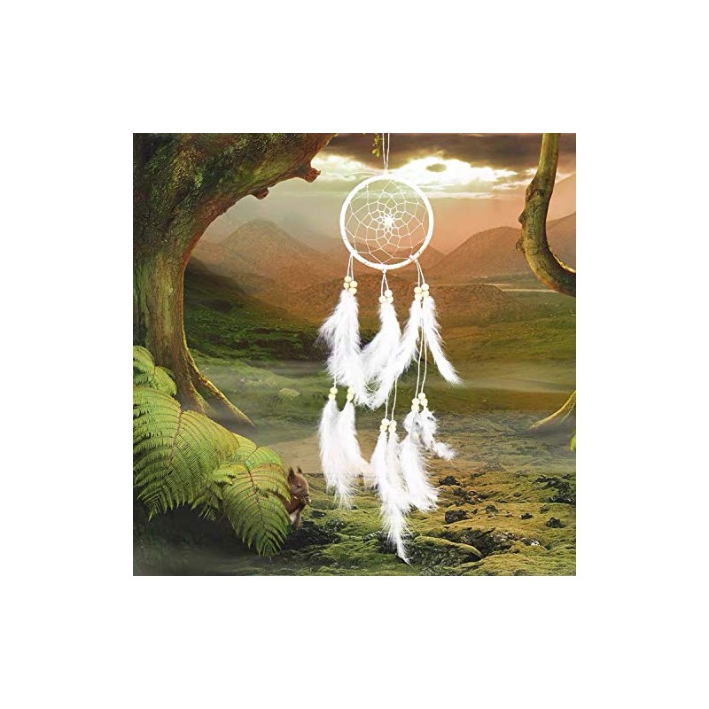 Jrancc Dreamcatcher DIY Handmade Feathers 55cm White for Bedroom Home