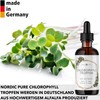 Chlorophyll Liquid from Alfalfa - 100 ml Liquid Chlorophyll -