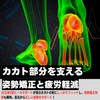 KICKS TOKYO Insole, Anti-fatigue, Shock Absorption, Sneakers, Sports, Feet, Standing