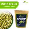 Premium Mung Bean Sprouting Seeds – Non GMO- Seeds come