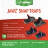 JT Eaton 409 Jawz Indoor Plastic Mouse Trap for Solid