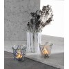 GLOREX 6 8651 009 - Polvere di Velluto, 11 g,