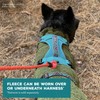 Wilderdog Fleece Dog Jacket with Neoprene Neck Gaiter - Large