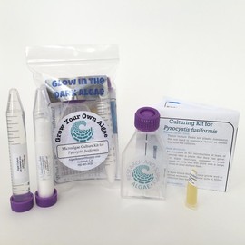 Algae Research Supply Algae Culture Supply Kit Porphyridium Cruentum, Perfect for School Science Fairs/Projects, Experiments & Classrooms