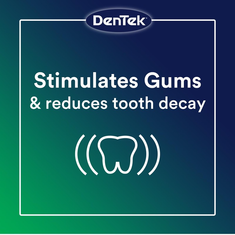 DenTek Professional Oral Care Kit, Complete Set of Dental Tools