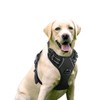 Rabbitgoo Dog Harness, Anti-Pulling, Less Burden, Collar, Fitting Without Lifting