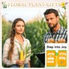 HAPPYPOP Corn Gifts for Men - Corn Gifts for Adult,