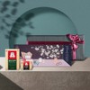 Jeonggwanjang Cheongkwanjang Daborok Gratitude Hwipyeon, Red Ginseng Gift Set /