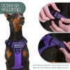 BUMBIN Tactical Dog Harness for Large Dogs No Pull, Famous