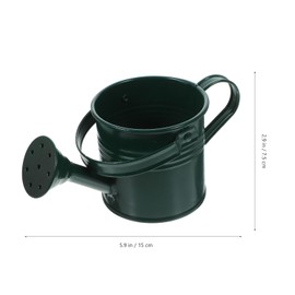 5 Pack Small Metal Watering Cans for Kids, Toy mini Watering can