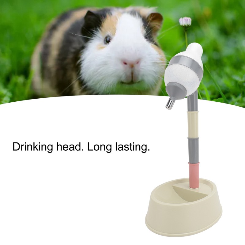 Pet Standing Water Dispenser 2 in 1 Cat Dog Standing