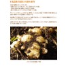 Finesse Rich Sazhi Ginger Syrup, Ginger Syrup, Large Ginger from