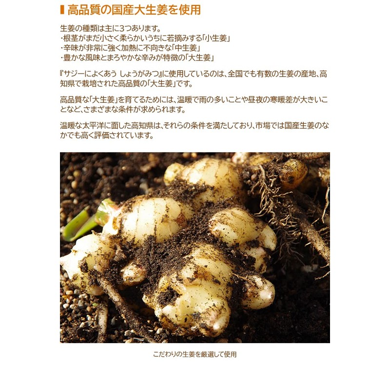 Finesse Rich Sazhi Ginger Syrup, Ginger Syrup, Large Ginger from