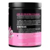 Suplemento Monohidratada Creatina Colágeno Heragen 500g
