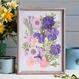 Flores Prensadas Secas para Resina, Bolsas de Flores Prensadas, Flores Secas Multiusos, Imitación de Flores Secas para DIY Resina Arte de Uñas Bodas álbumes de Recortes y más (Fantasía púrpura)