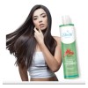 Sheló Nabel Shampoo Chile Romero