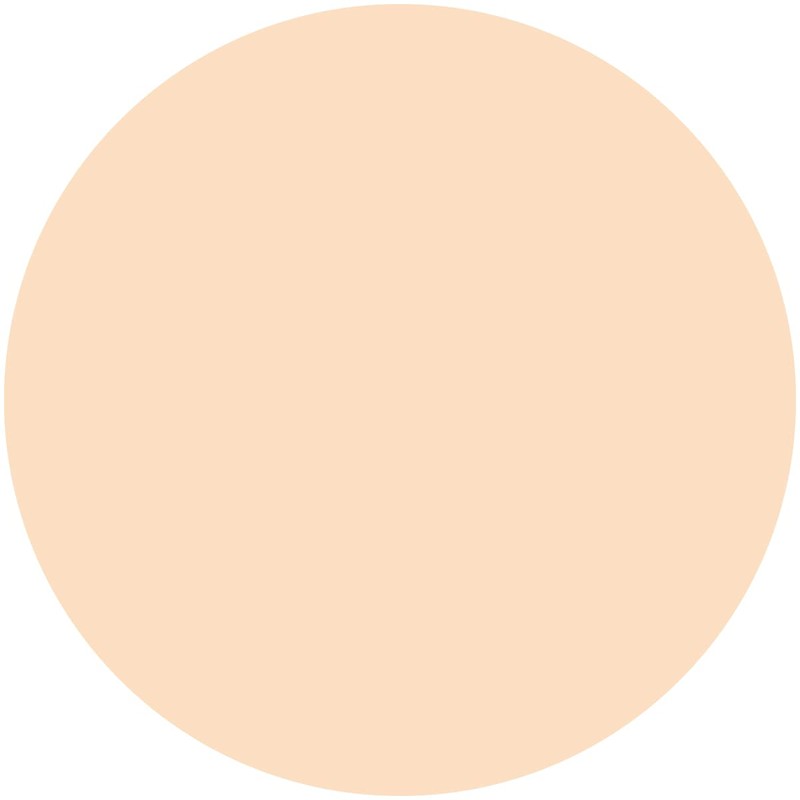 Kiss Me Ferme Cover and Bright Skin Powder Funde (Replacement)