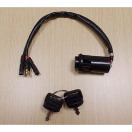 New 1990-2000 Honda TRX 300 TRX300 TRX300FW ATV OE Ignition Switch With Keys