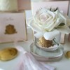Cote Noire-Five Roses Pink Blush in Gold Badge Pink Box