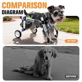 LetPetRun Dog Wheelchair 4 Wheels Adjustable, Full Body Support Dog Cart for Front & Rear Legs, Lightweight Mobility Aid for Small Dogs (XS for 11-18lbs)