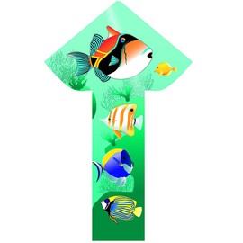 WindNSun Breezyfliers 42" Kite - Tails, Handle, Line Included - Tropical Fish