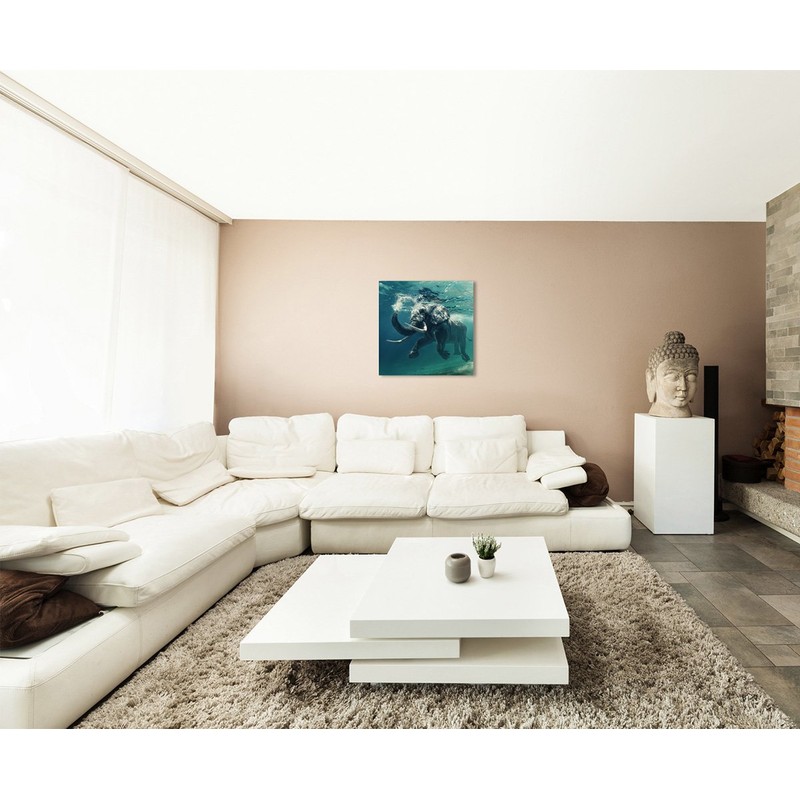 Sinus Art Wall Picture 90 x 90 cm Animal Photography