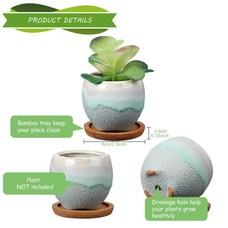 BBTO 6 Set Mini Succulent Pots Bulk with Drainage and