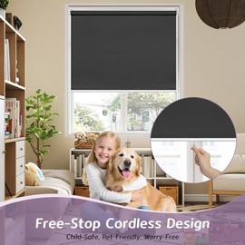 SEEYE Cordless Roller Shades for Windows, 100% Blackout Window Blinds for Privacy & UV Protection, Pull Down Room Darkening Door Blinds, Easy to Install for Home and Office (28" W x 72" H, Black)