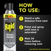 Raid Wasp & Hornet Killer Spray, Bug Killer Kills the