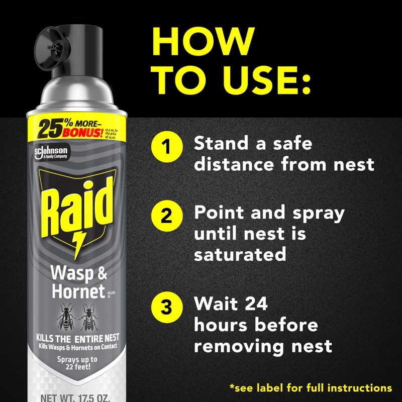 Raid Wasp & Hornet Killer Spray, Bug Killer Kills the