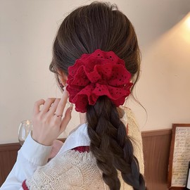 2 Pcs Lace Hair Scrunchies Openwork Embroidery Lace Hair Ties Elastics Ponytail Holder Scrunchie Daily Styling Accessories for Women (Black+Red)