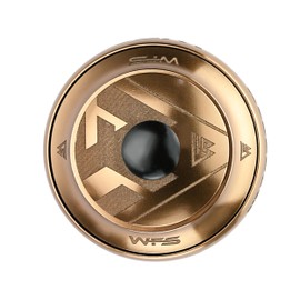 WFS NV.73 HS03ZQGLD 2,5 cm CNC Alloy Threadless Headset mit Top Cap Cash Money