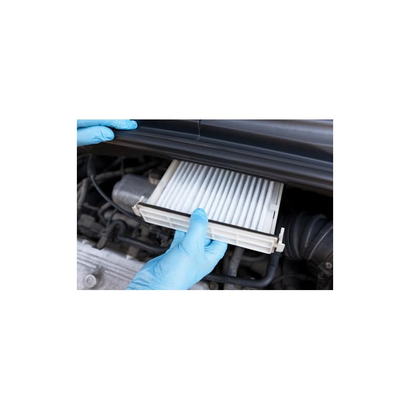 PURFLUX AH725-2 Cabin Air Filter Pollen Filter Height: 30 cm