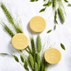 Duck Pan Gold Home (4 boxes of 55g) + 1