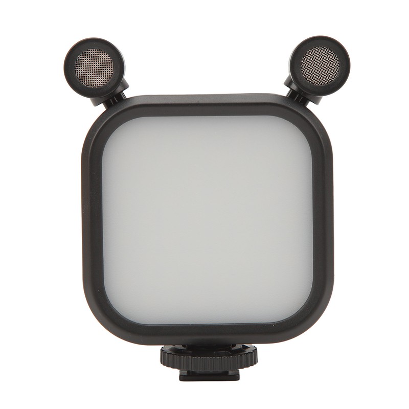 Stereo Microphone Light 10 Levels Brightness Dual Mic Fill Lamp